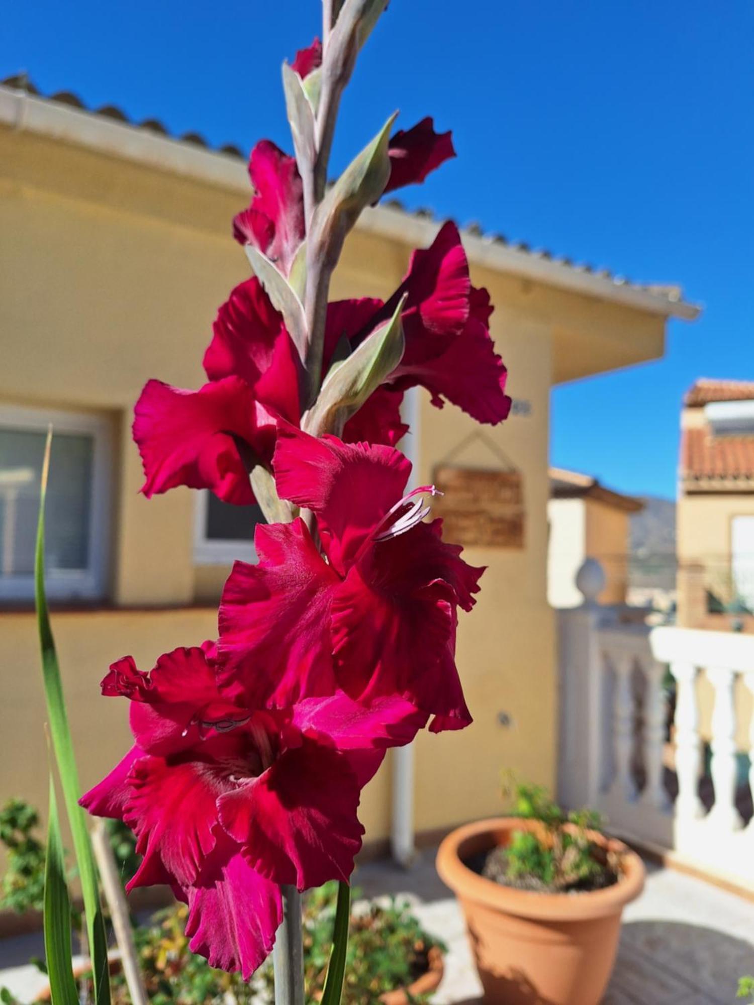Casa Mirador Perea Apartment Malaga Exterior photo